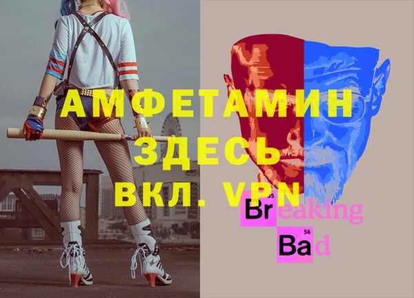 соль ск Алексин
