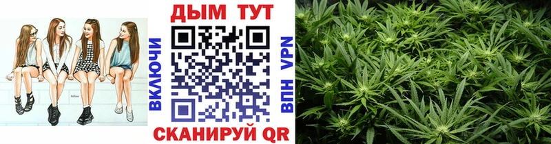 наркошоп  Котлас  мега рабочий сайт  Каннабис VHQ 